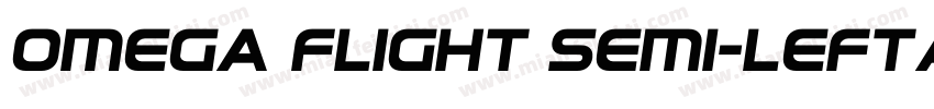 Omega Flight Semi-Leftalic Regular字体转换